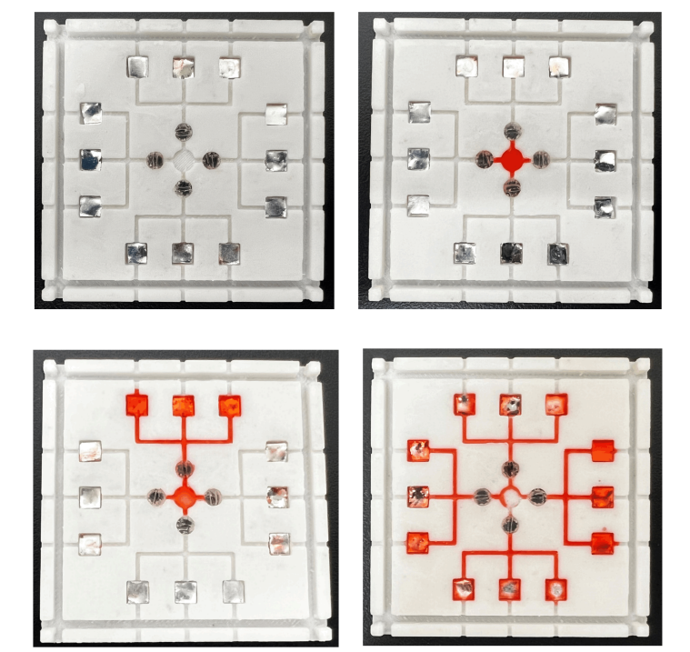 The researchers created a chip with four distinct regions, capable of rapidly testing for the presence of multiple pathogens simultaneously. Credit: Feng et al.