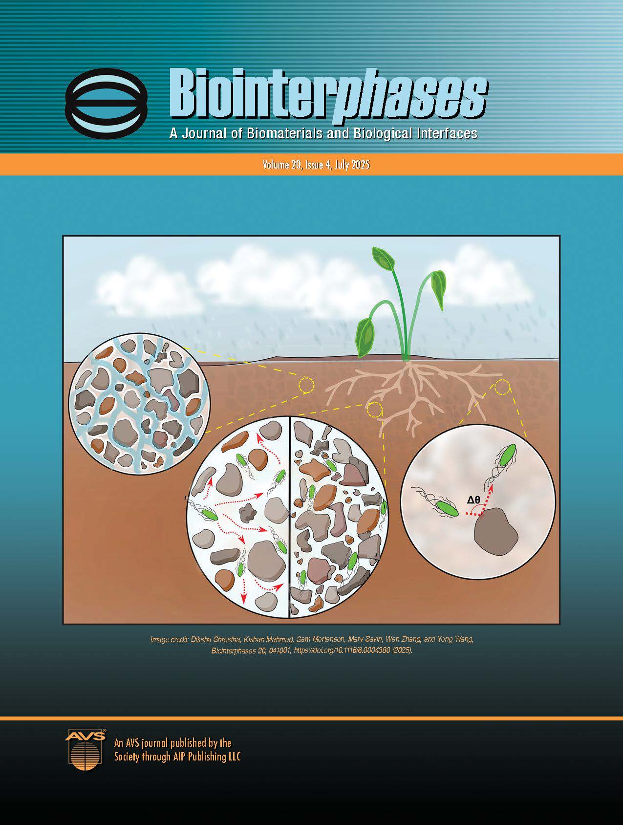 BIP journal cover