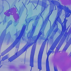 Decorative Image